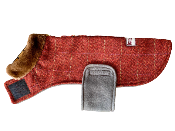 Brigit Red Tweed-Coat-LegionDachsDogApparel