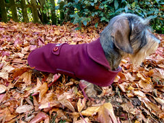 Raspberry-Coat-LegionDachsDogApparel