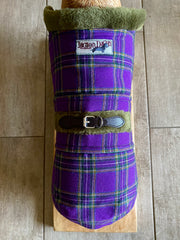 Purple Tartan-Coat-LegionDachsDogApparel